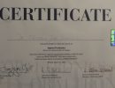 diploma-19 diploma-19