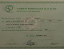 diploma-23 diploma-23
