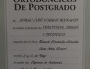 diploma-33 diploma-33